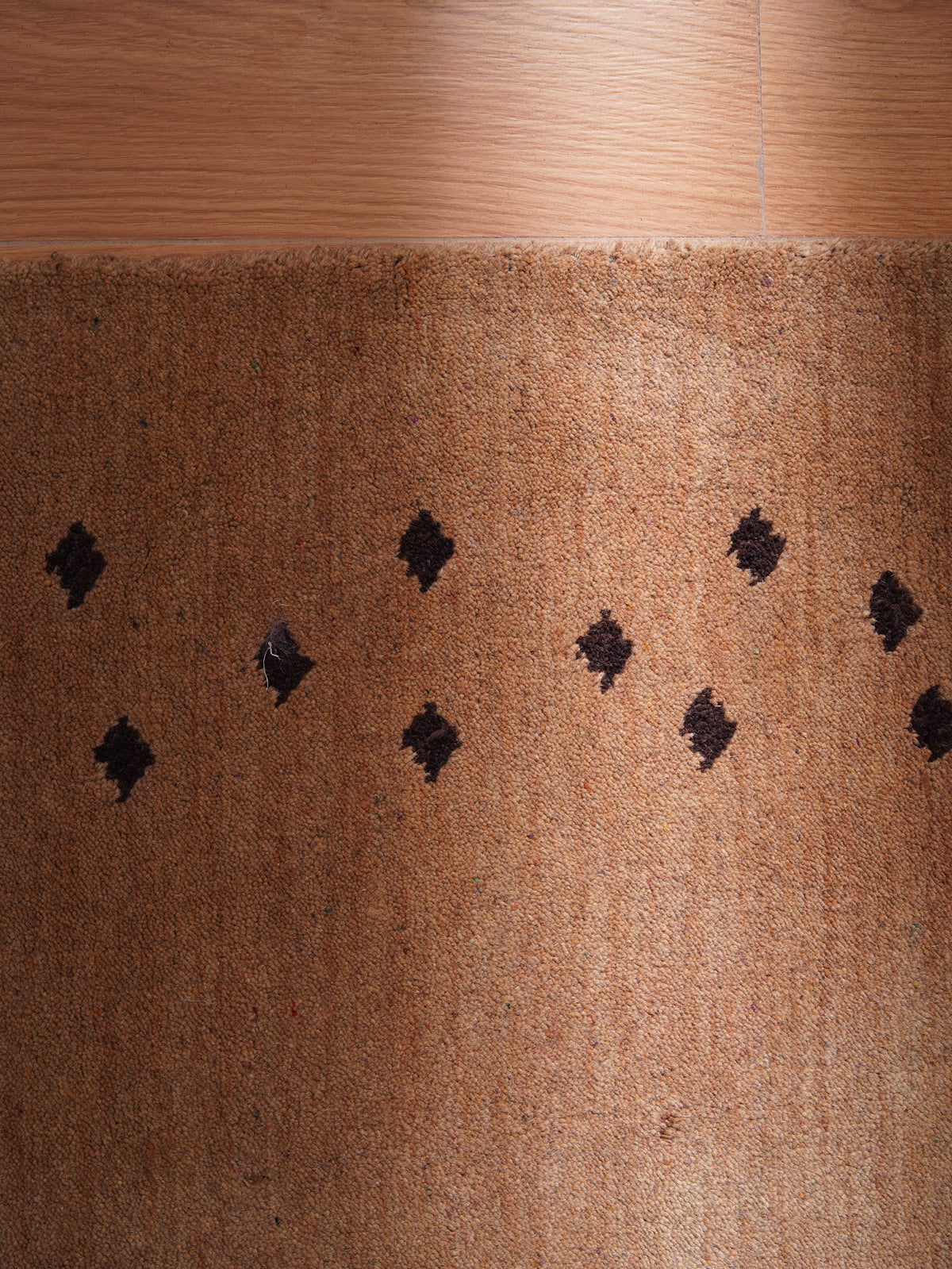 Shenzhen Premium Hand Knotted Wool Rug