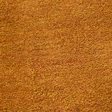 Casablanca Hand Knotted Rug