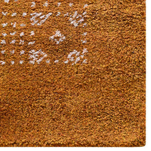 Posh Hand Knotted Rug