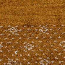 Exquisite Hand Knotted Rug