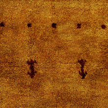Panache Hand Knotted Rug