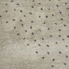 Masterpiece Hand Knotted Rug