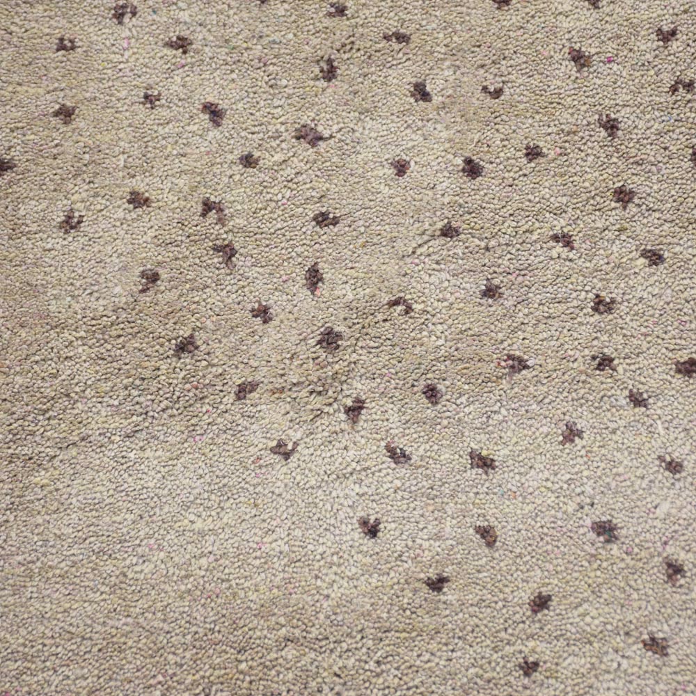 Masterpiece Hand Knotted Rug