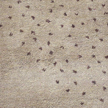 Masterpiece Hand Knotted Rug