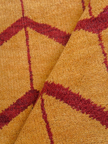 Parqueted Hand Knotted Rug