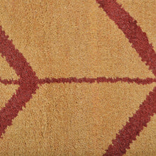 Parqueted Hand Knotted Rug