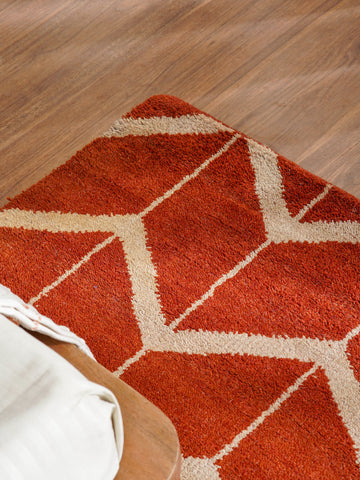 Parqueted Hand Knotted Rug