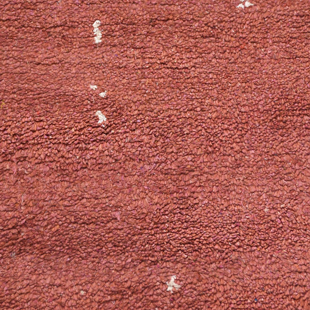 Radiant Hand Knotted Rug