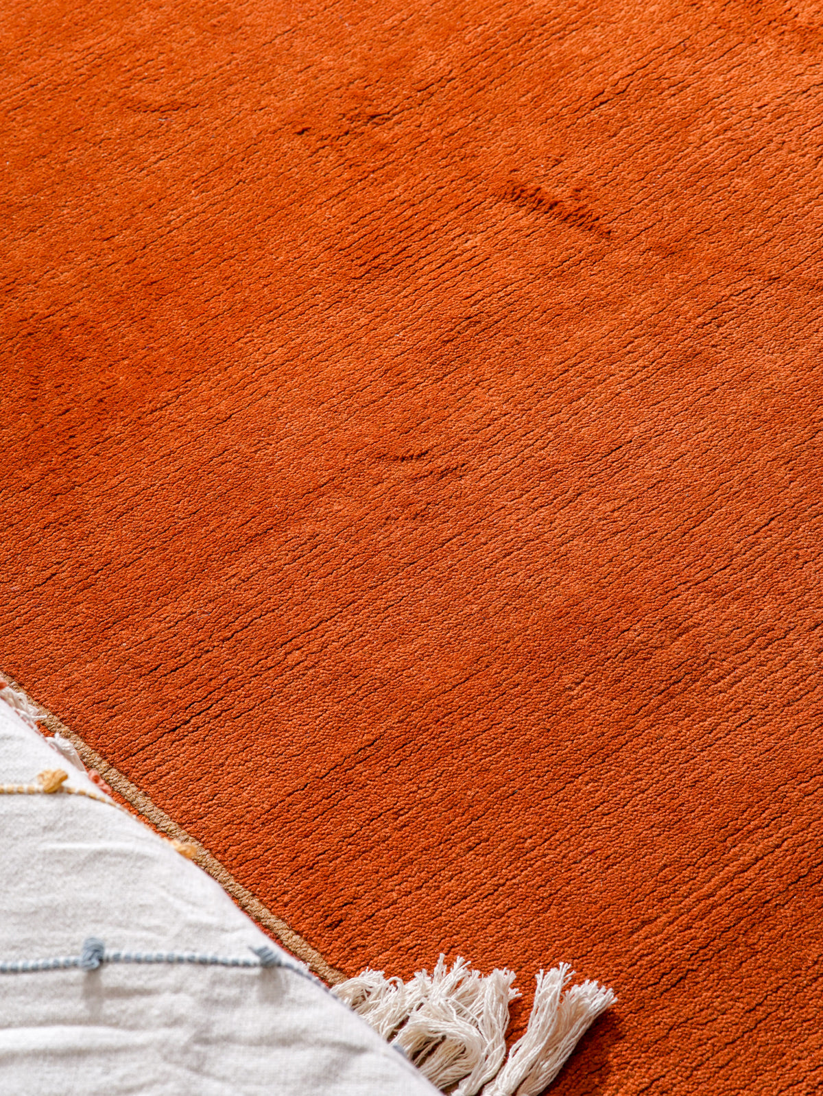 Bold Hand Knotted Rug