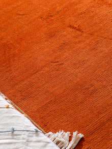 Bold Hand Knotted Rug