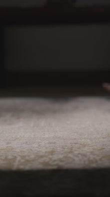 Hand Knotted Wool Oriental Light Brown Area Rug — video