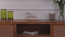 Jasmine Hand Knotted Rug — video