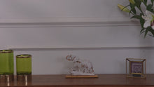 Artistry Hand Knotted Rug — video