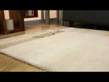 Herring Hand Tufted Rug — video
