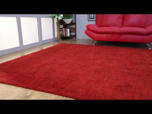 Revive Hand Knotted Rug — video