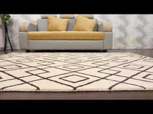 Trellis Hand Tufted Rug — video