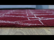 Elysium Hand Knotted Rug — video