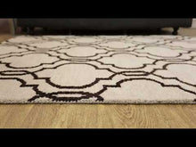 Reverie Hand Knotted Rug — video