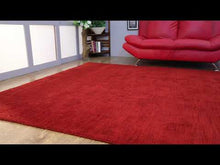 Ombre Hand Knotted Rug — video
